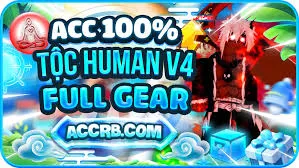Acc có tộc human v4 full gear